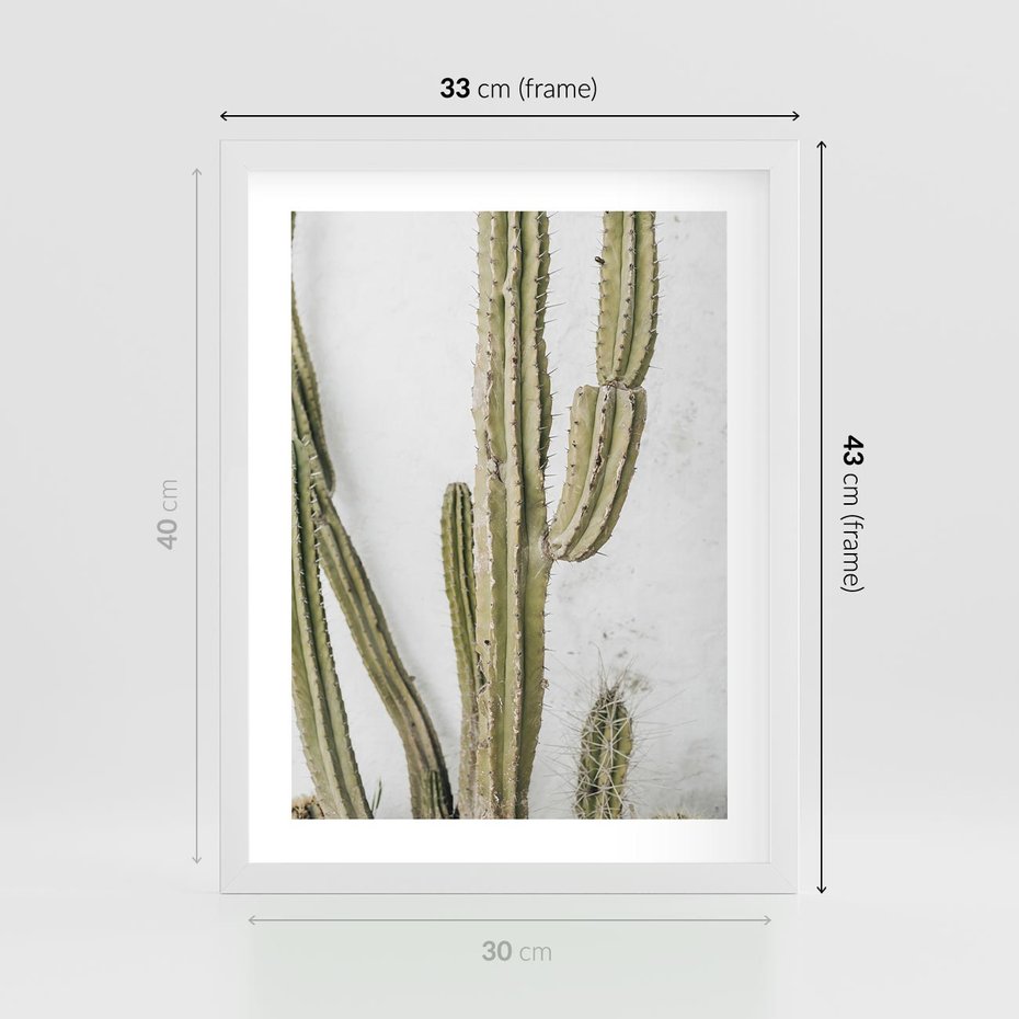 Plakat w ramie 30x40 - Kaktus w Stylu Boho - kaktus, roślina tropikalna - rama biała