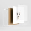 Plakat w ramie 40x50 - Minimalistyczne Poroże Jelenia - poroże jelenia na ścianie, minimalizm - rama biała