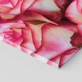 Obraz na płótnie 90x30 - Różany urok - kwiaty, róże