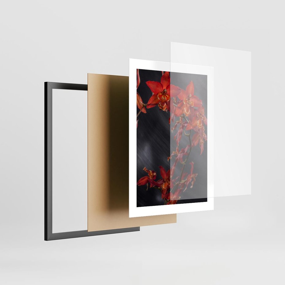 Plakat w ramie 30x40 - Kolorowy Raj - kwiaty, tropikalne - rama czarna