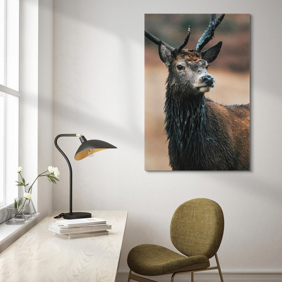 Obraz na płótnie 70x100 - Spokojny jeleń - jeleń, las