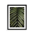 Plakat w ramie 30x40 - W Liściach Ukryte - zdjęcie, fotografia - rama czarna
