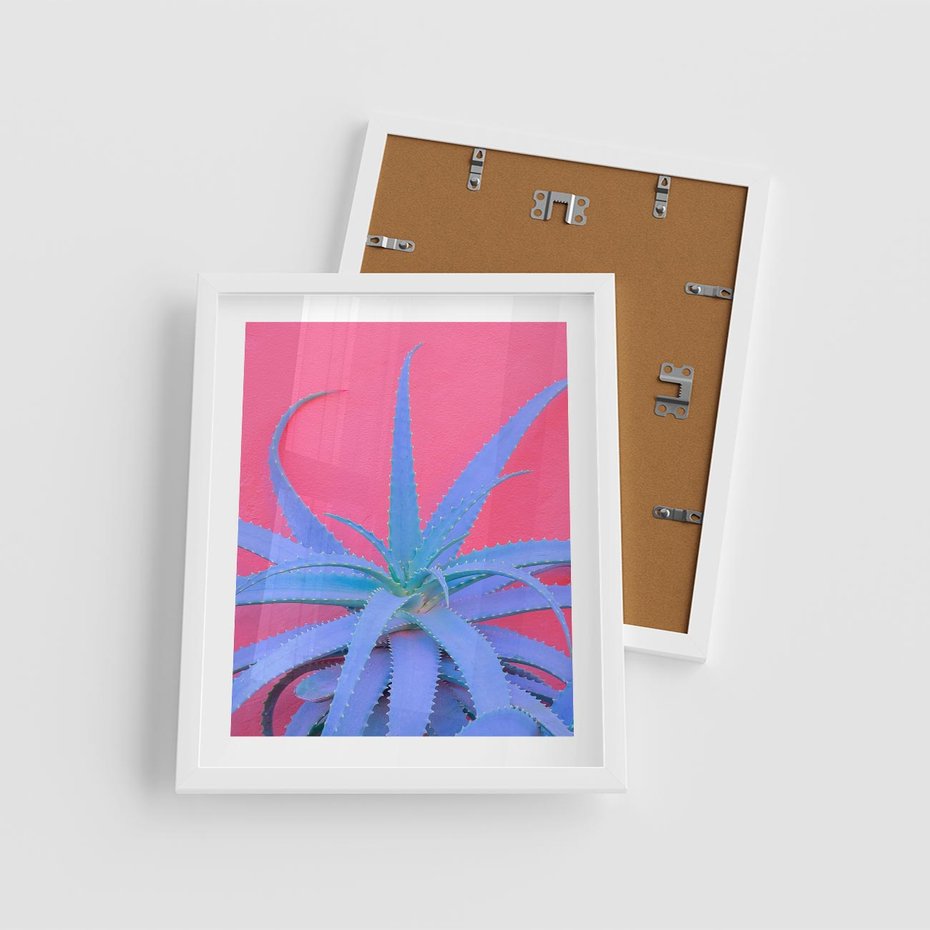 Plakat w ramie 40x50 - Piękno Pustyni - kaktusy, liście - rama biała