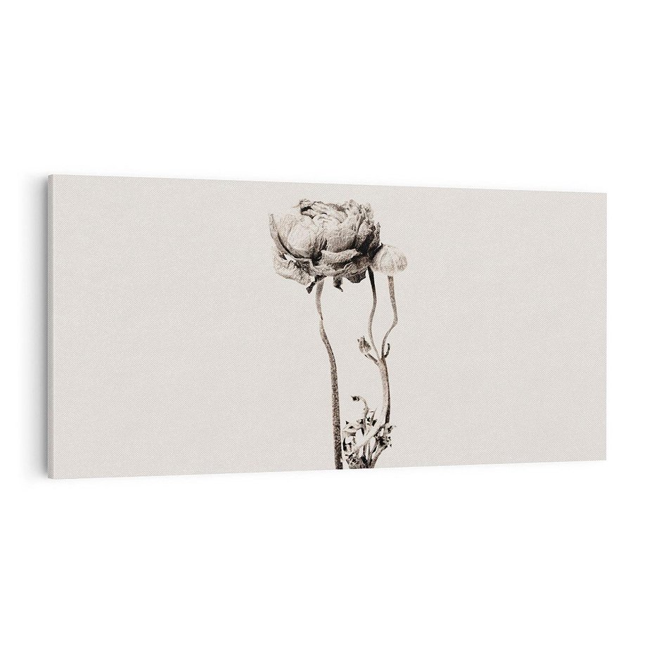 Obraz na płótnie 100x50 - Cień Kwiatowej Delikatności - kwiat, cień
