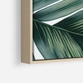 Obraz w ramie 80x120 - Ruchome liście czasu - liście palmy, tropikalne - rama drewno