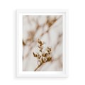 Plakat w ramie 50x70 - Kwiatowa suchość - kwiaty, susz - rama biała