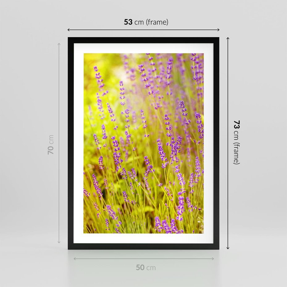Plakat w ramie 50x70 - Delikatność natury - lawenda, kwiaty - rama czarna