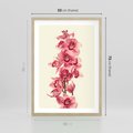 Plakat w ramie 50x70 - Orchidea w spa - relaks - orchidea, spa - rama drewno