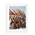 Plakat w ramie 50x70 - Tropikalna Harmonia - palma, liście palmy - rama biała