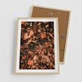 Plakat w ramie 50x70 - Jesienny Splot: Pomarańczowe Liście - liście, pomarańczowe suche liście - rama drewno