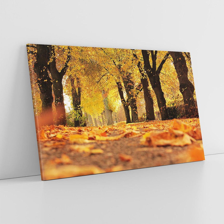 Obraz na płótnie 100x70 - Jesień, Liście, Park - Kolorowa Symfonia - jesień, liście