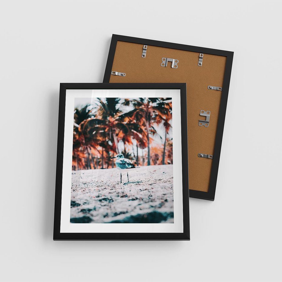 Plakat w ramie 40x50 - Tropikalna Uroda: Plaża z Mewą - tropikalna plaża, mewa na piasku - rama czarna