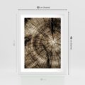 Plakat w ramie 30x40 - Natura Pod Lupą - pień drzewa, przekrój - rama biała