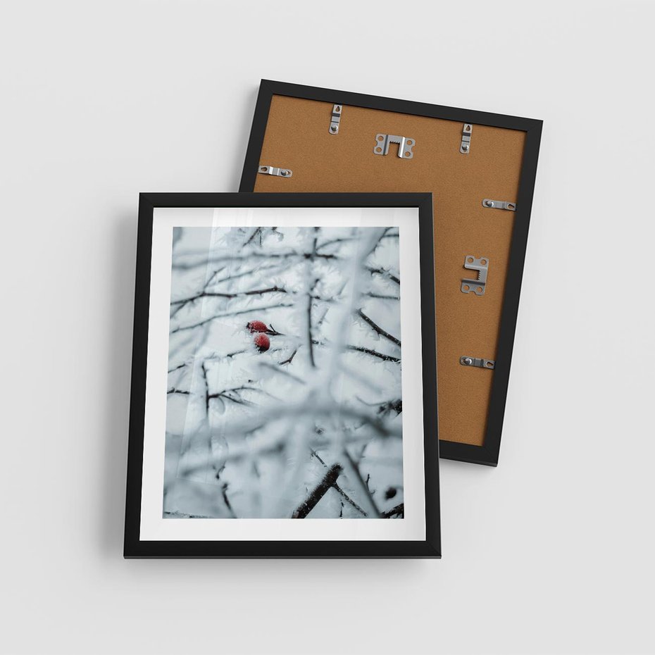 Plakat w ramie 40x50 - Zima w Detalu: Gałęzie ze Szronem i Śniegiem - śnieg, zima - rama czarna