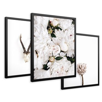 Zestaw obrazy w ramie 40x50 galeria - Kwiaty, boho, styl, minimalizm - rama czarna