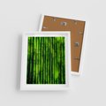 Plakat w ramie 40x50 - Bambusowy urok zielonej harmonii - bambus, zieleń - rama biała