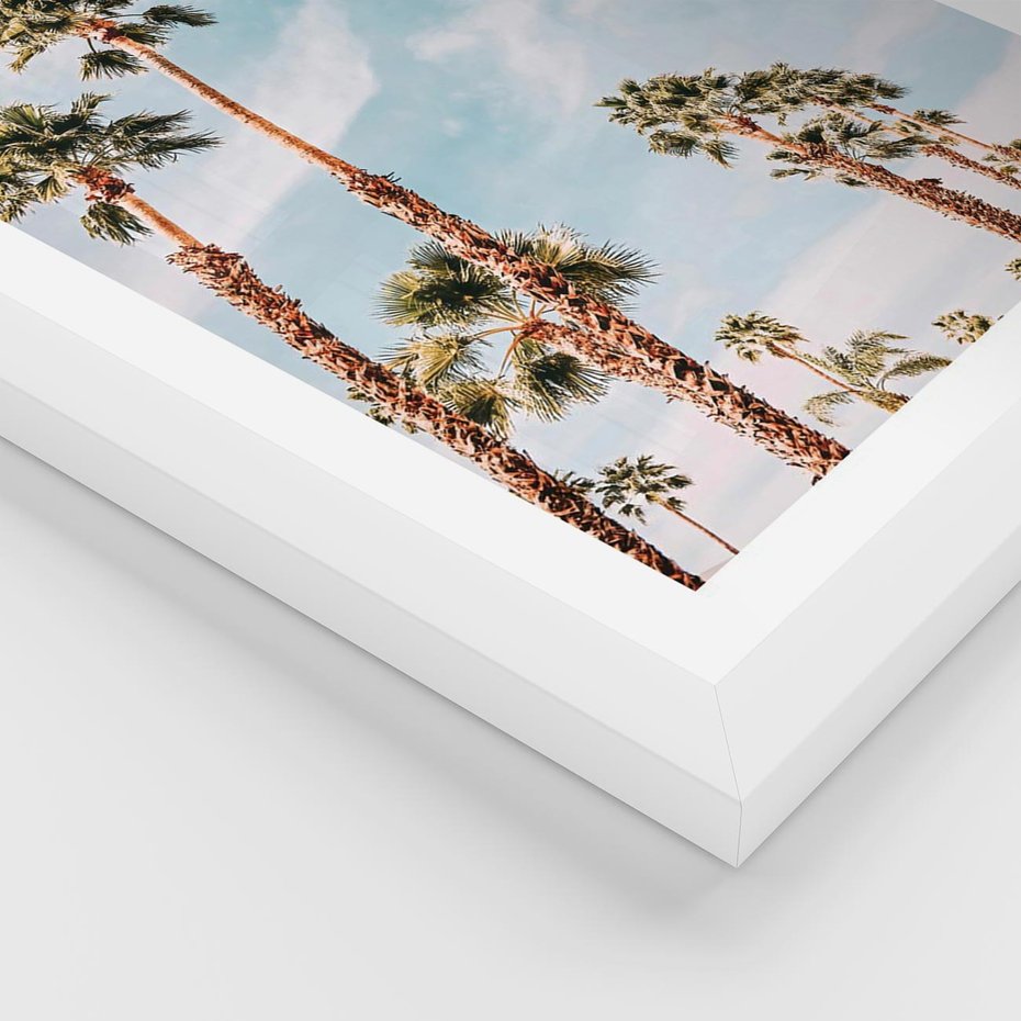 Plakat w ramie 30x40 - Tropikalna Sielskość: Palmy i Błękitne Niebo - palmy na tle błękitnego nieba - rama biała