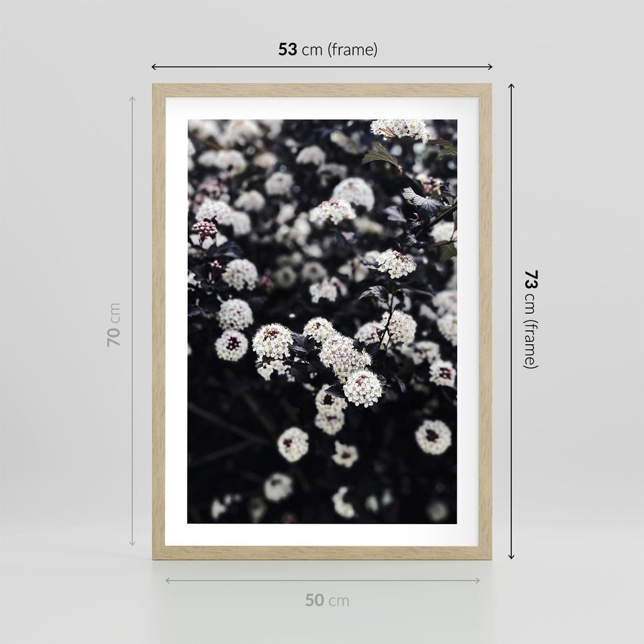Plakat w ramie 50x70 - Białe Kwiaty na Kwitnącym Krzewie - białe kwiaty, kwitnący krzew - rama drewno