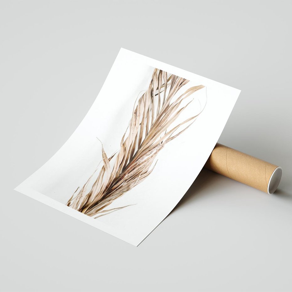 Plakat bez ramy 21x30 - Minimalizm Palmowy: Sucha Uroda - sucha palma, minimalizm