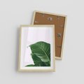 Plakat w ramie 30x40 - Zielone liście monstery - liście, monstera - rama drewno