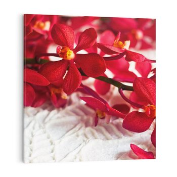 Obraz na płótnie 50x50 - Delikatność Kwiatowej Elegancji - orchidea, kwiat