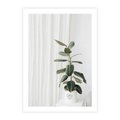 Plakat bez ramy 21x30 - Kwiat w Bieli - kwiat w doniczce, białe wnętrze