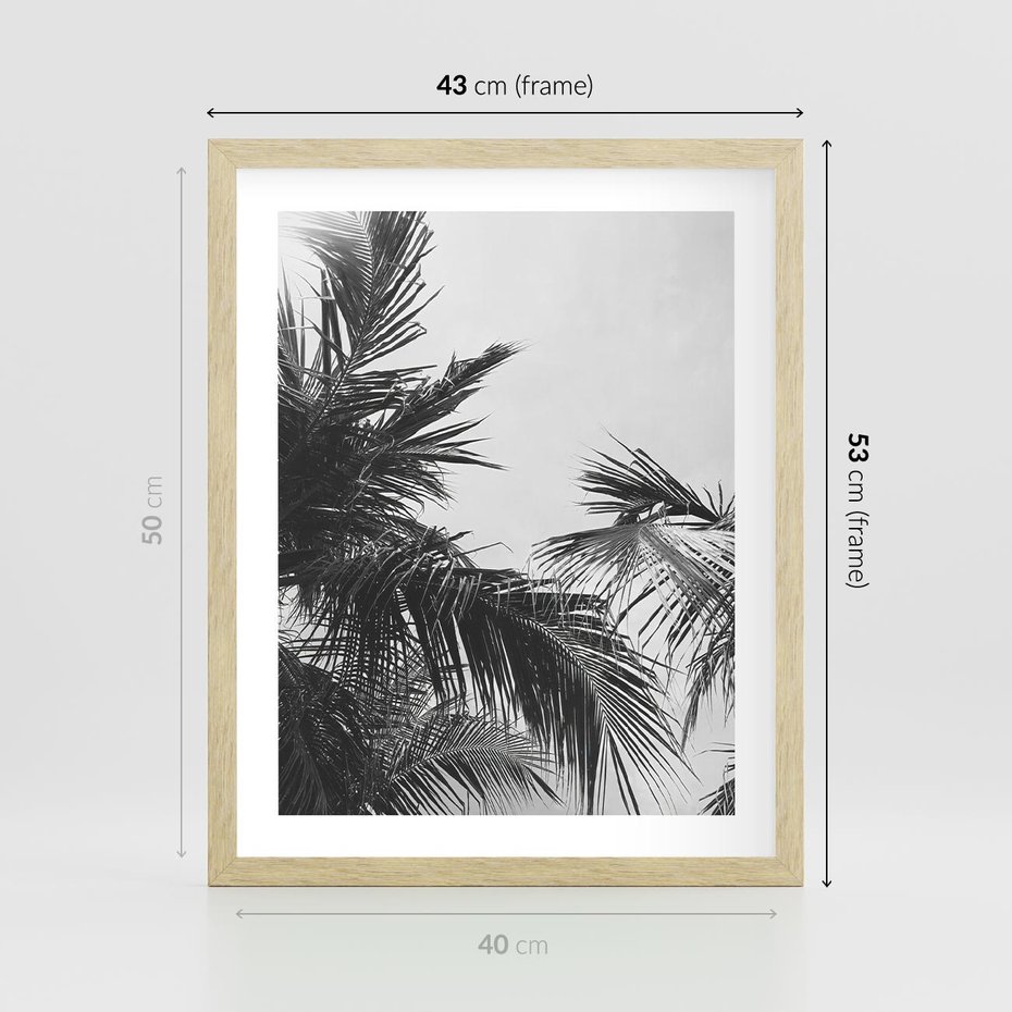 Plakat w ramie 40x50 - Palmy w Monochromii - palmy, tropikalne palmy - rama drewno