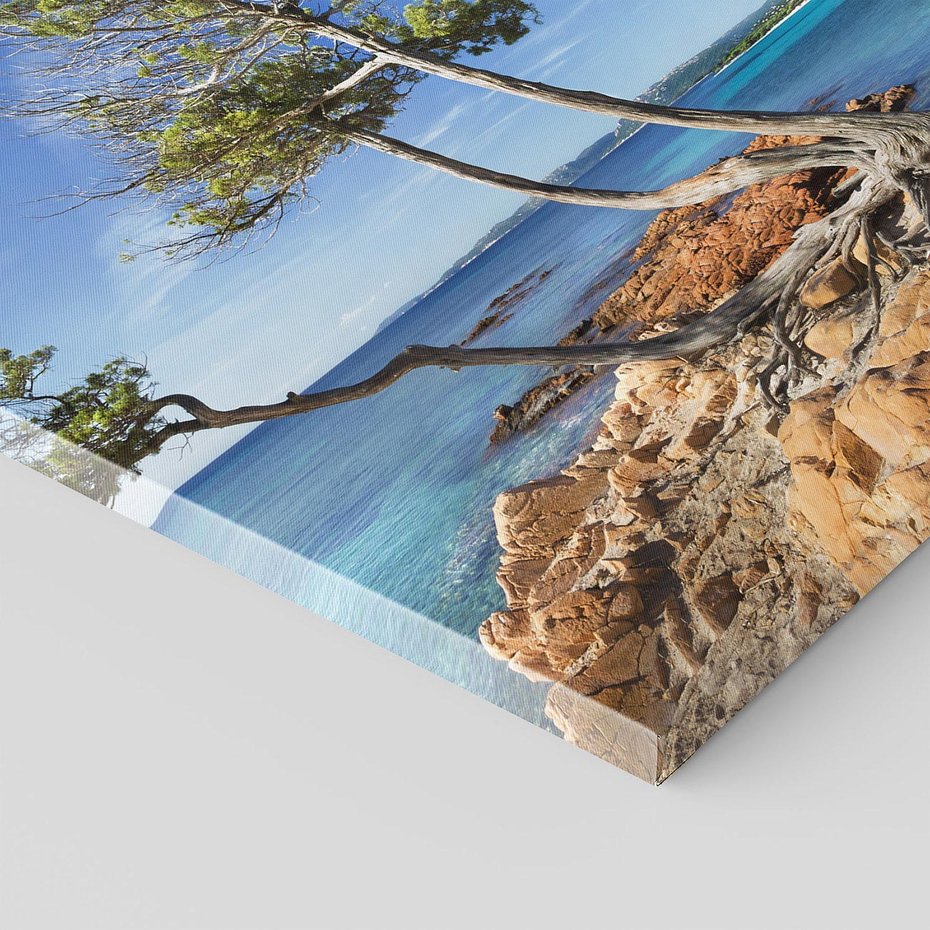 Obraz na płótnie 70x70 - Korsyka - morze i drzewa - Korsyka, morze