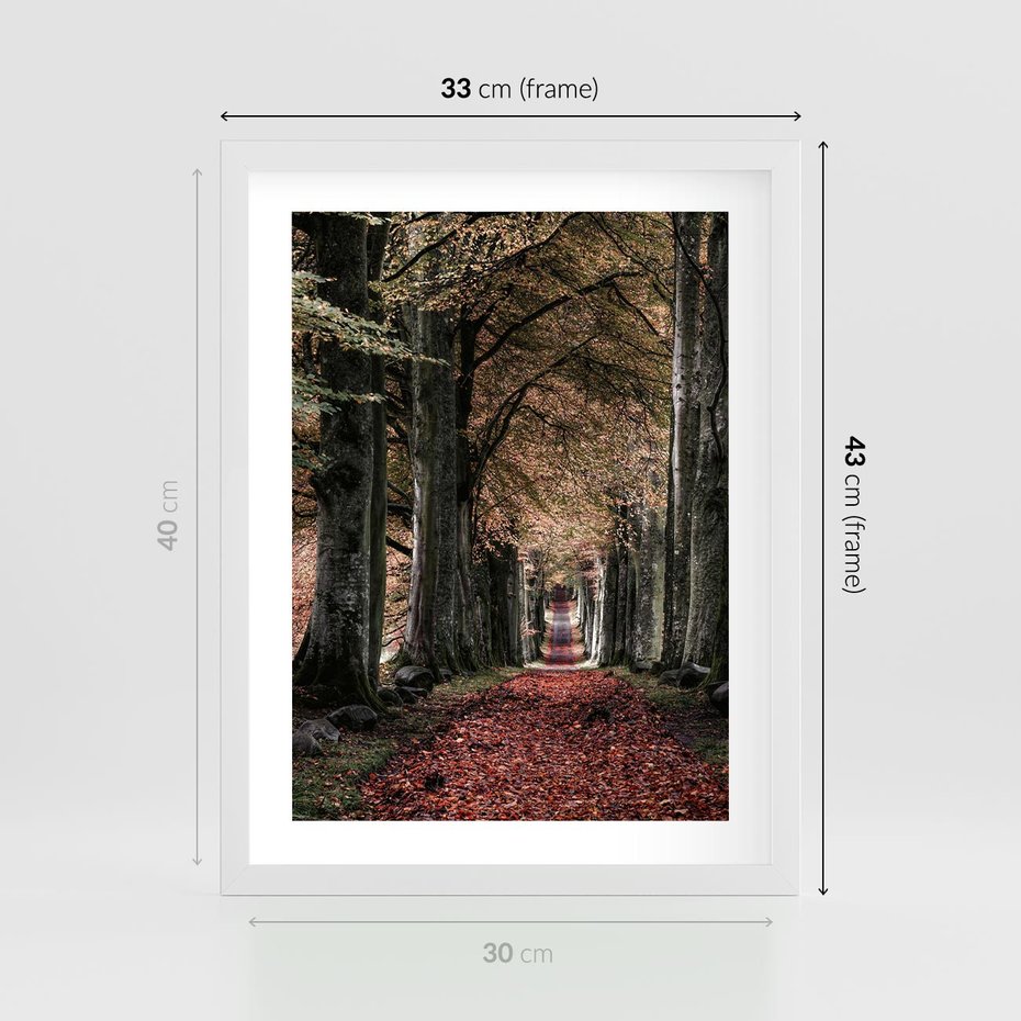 Plakat w ramie 30x40 - Spacer po Leśnej Drodze - ścieżka w lesie, jesień suche liście - rama biała