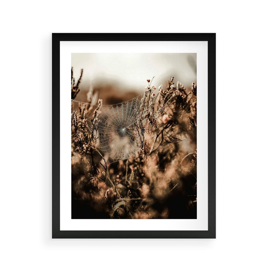 Plakat w ramie 40x50 - Jesienny Mikrokosmos - suchetrawy, jesienny klimat - rama czarna