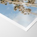 Plakat bez ramy 30x40 - Pod Niebem Palmy - palmy na niebieskim niebie