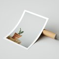 Plakat bez ramy 30x40 - Kaktus w Doniczce - minimalizm, kaktur w doniczce