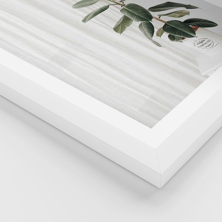 Plakat w ramie 40x50 - Kwiat w Bieli - kwiat w doniczce, białe wnętrze - rama biała