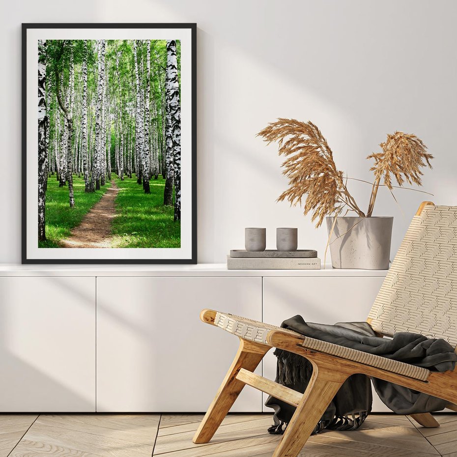 Plakat bez ramy 30x40 - Bajkowy las pełen brzóz - las, brzozy