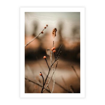 Plakat bez ramy 30x40 - Jarzębina w Pejzażu - jesień, gałązka