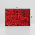 Obraz na płótnie 100x70 - Czerwona Pasja - czerwone, róże