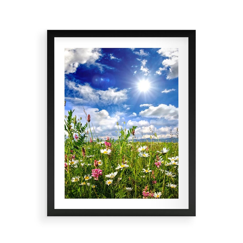 Plakat w ramie 40x50 - Niebiańska łąka pełna kwiatów - łąka, niebo - rama czarna