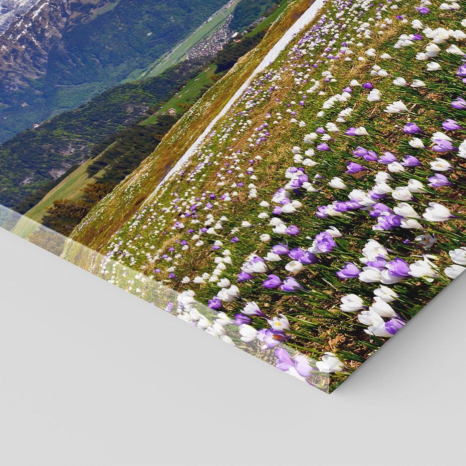 Obraz na płótnie 140x70 - Wiosenne Czarowanie - krokusy, góry