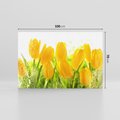 Obraz na płótnie 100x70 - Tulipany - szczyt kwiatowego piękna - tulipany, kwiaty