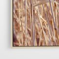 Obraz w ramie 100x70 - Mistrzowskie suche trawy - suche, trawy - rama drewno
