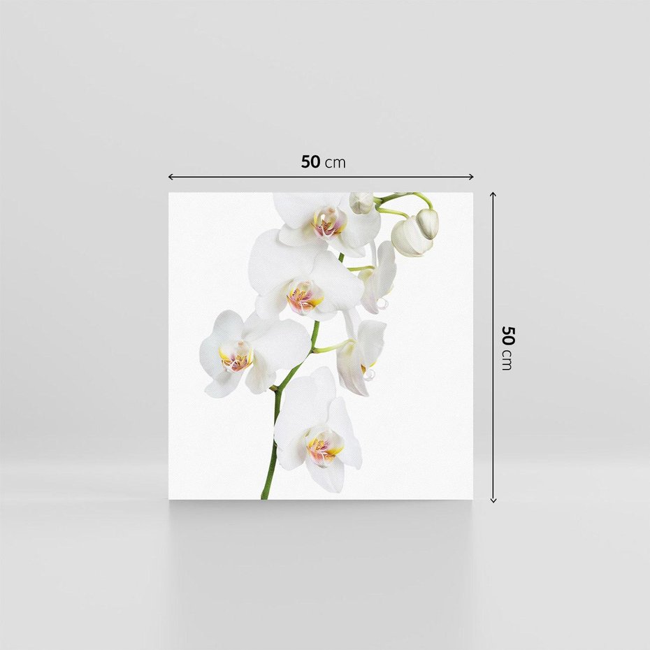 Obraz na płótnie 50x50 - Ekskluzywny Relaks - storczyk, spa