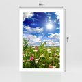 Plakat bez ramy 50x70 - Niebiańska łąka pełna kwiatów - łąka, niebo
