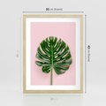 Plakat w ramie 30x40 - Monstera w Różowym Świetle - liść monstery, różowe tło - rama drewno