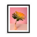 Plakat w ramie 40x50 - Egzotyczna monstera - monstera, liść - rama czarna