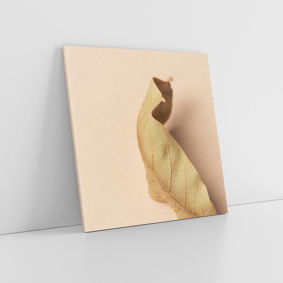 Obraz na płótnie 70x70 - Boho suszone liście - suszony, liść