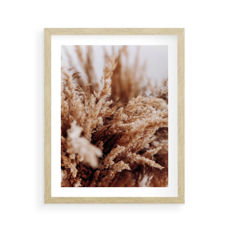 Plakat w ramie 40x50 - Sztuka Suszonych Traw - trawa pampas, suszone trawy - rama drewno