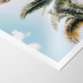 Plakat bez ramy 21x30 - Pod Błękitnym Niebem - palmy, ujęcie z dołu