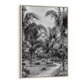 Obraz w ramie 80x120 - Mroczna Ścieżka Tropików - czarno biała fotografia, ścieżka pośród palm - rama drewno