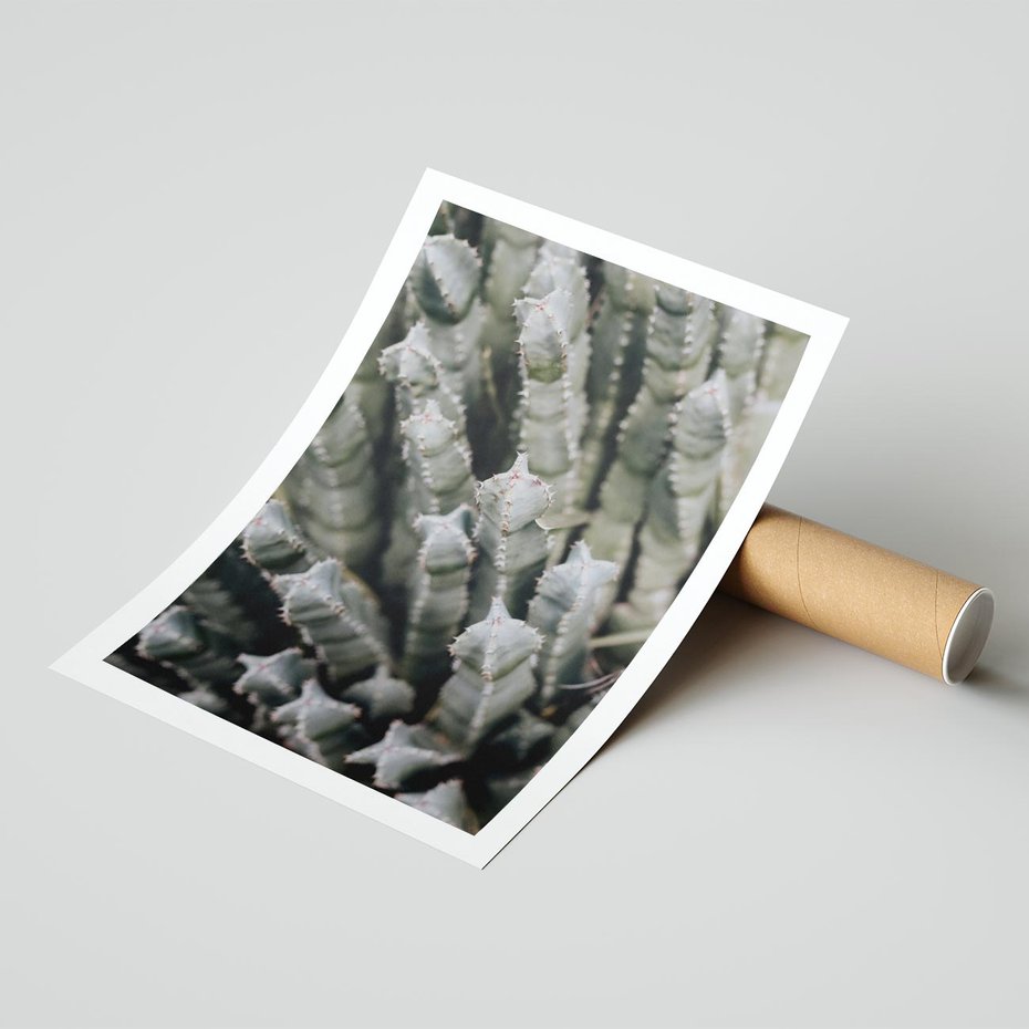 Plakat bez ramy 21x30 - Boho kaktusy na pustyni - kaktusy, pustynia