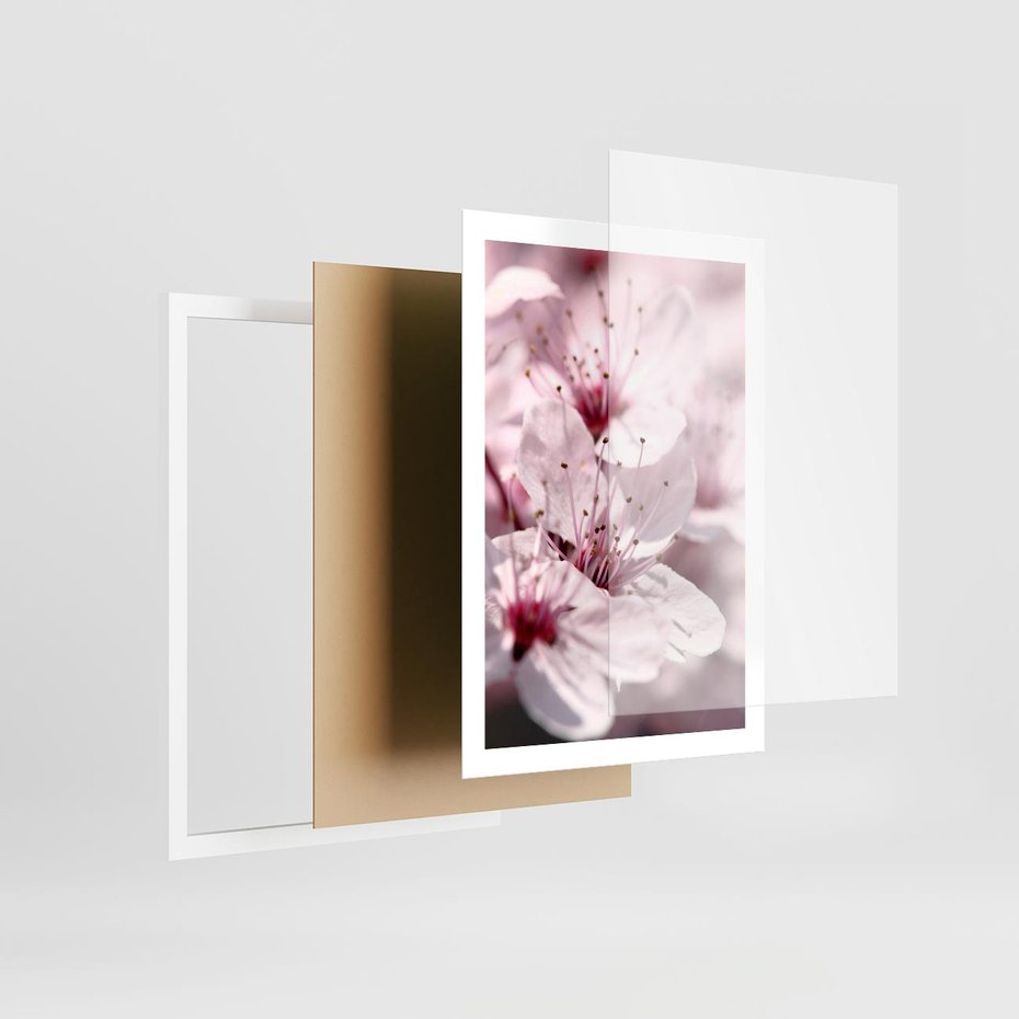 Plakat w ramie 50x70 - Kwitnąca Wiśnia - kwiaty, kwitnąca - rama biała